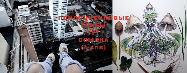 ГАЛЛЮЦИНОГЕННЫЕ ГРИБЫ Верхнеуральск