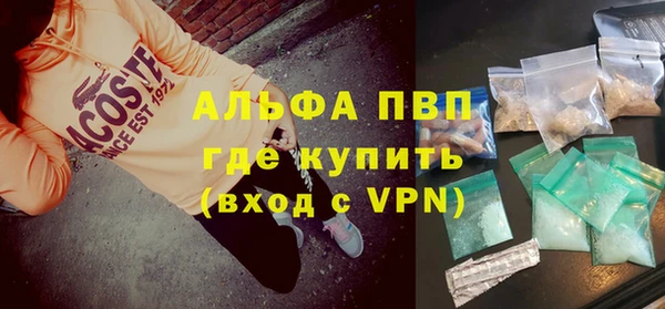 гашик Володарск