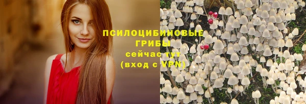 ГАЛЛЮЦИНОГЕННЫЕ ГРИБЫ Верхнеуральск
