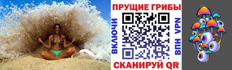 где купить наркоту  Горячеводский  Псилоцибиновые грибы Psilocybine cubensis 